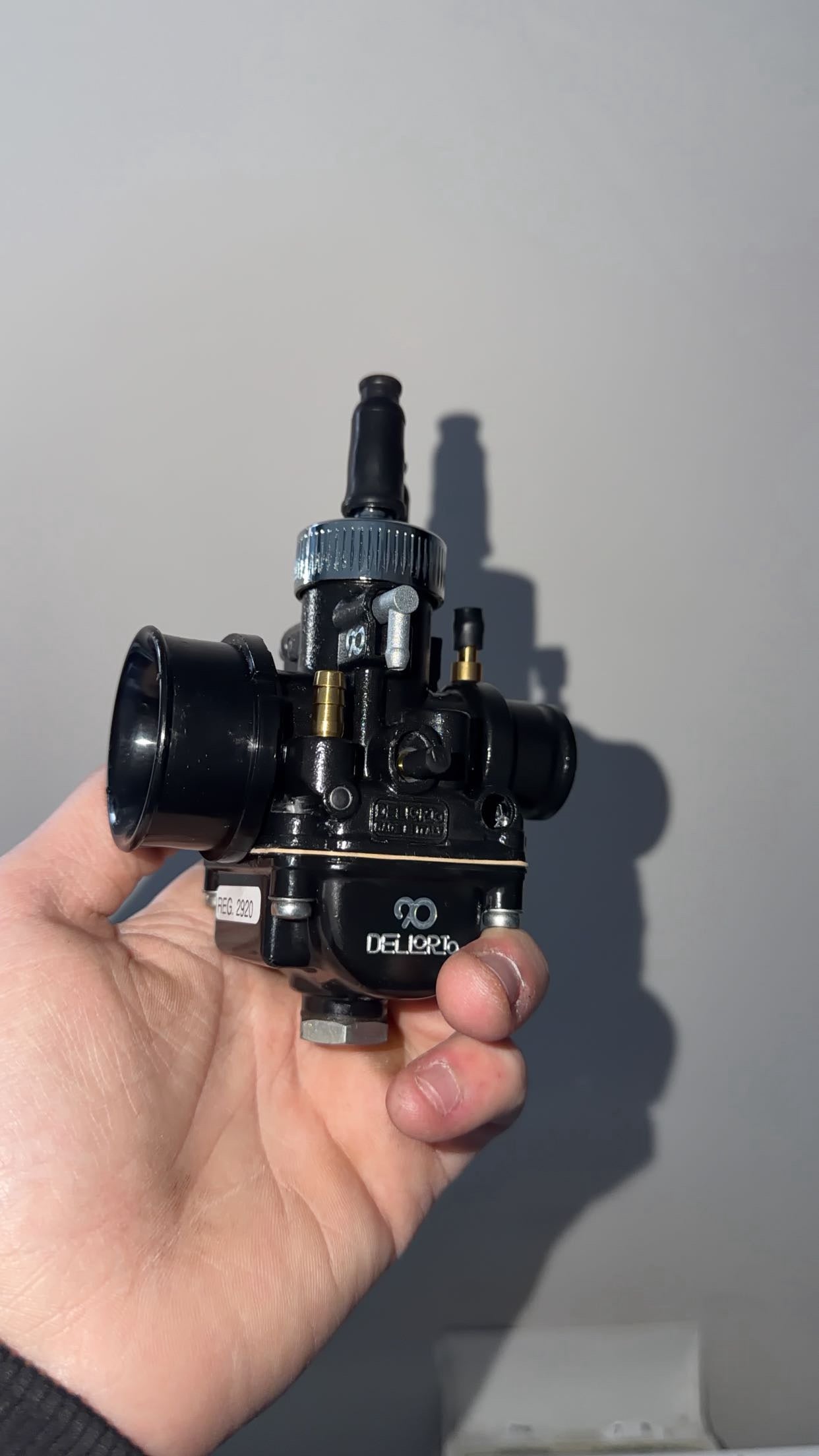 CARBURATEUT 19 delorto