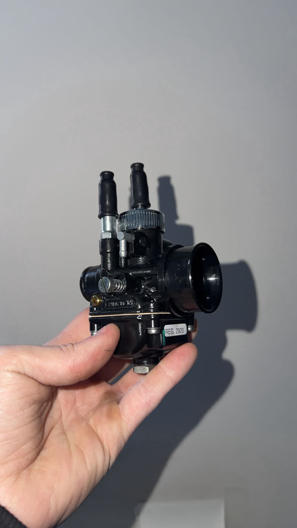 CARBURATEUT 19 delorto